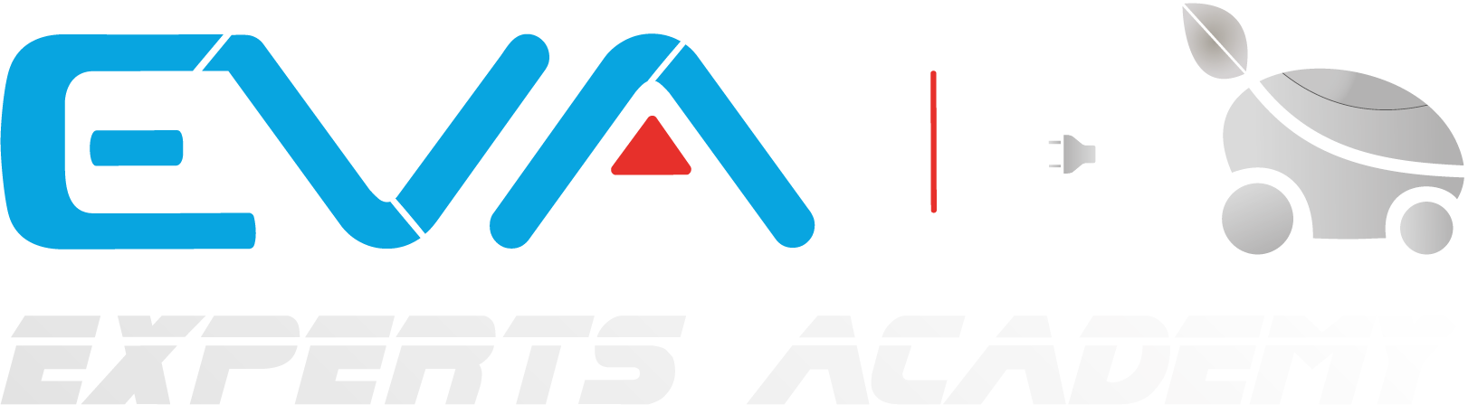 EVA Experts Academy