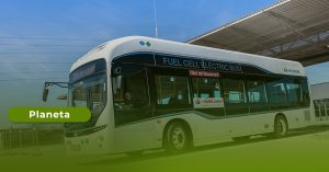 Read more about the article Chegam 389 autocarros elétricos aos municípios em 2026 ...